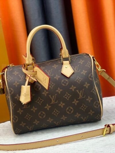 Louis Vuitton Damestas